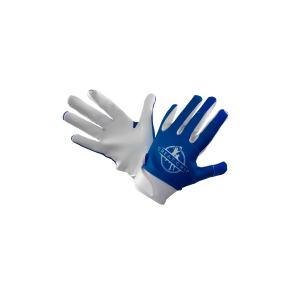 Blue Dry weather gloves