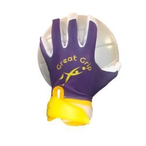 Purple&Gold Dry weather gloves