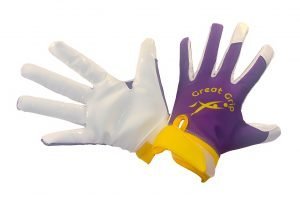 Purple&Gold Dry weather gloves