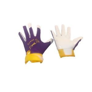 Purple&Gold Dry weather gloves