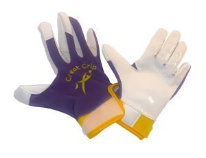 Purple&Gold Dry weather gloves